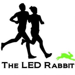 the led rabbit